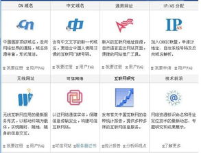 中国互联网域名注册服务 政策、发展与挑战