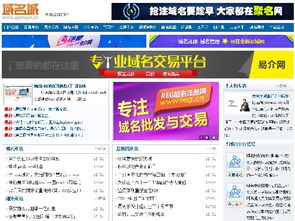 换个域名，竟如换栋别墅？互联网域名注册服务的价值与策略